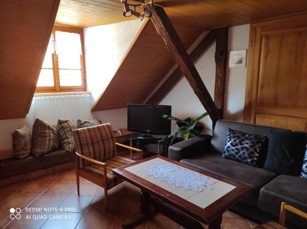 Apartman Pod Sribrnou Horou Lhenice Exterior photo
